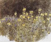 Helen Allingham,R.W.S Studies of Flowers (mk37) Sweden oil painting artist